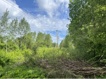 Tervikvarana võlgnikule kuuluvad Rapla maakonnas, Kohila vallas, Kohila alevis, Tuhamäe tänaval asuvad kinnistud.
